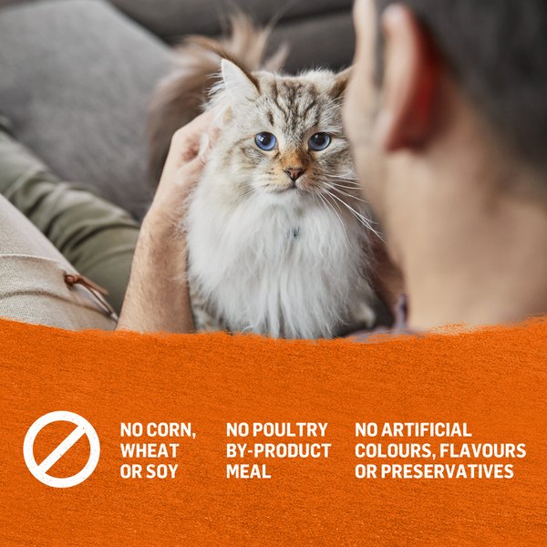 Show full view: Purina Beyond Pate Grain-Free Chicken & Sweet Potato Recipe Wet Cat Food, 85-g can, case of 12 slide 10 of 18