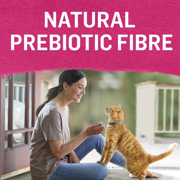 Show full view: Purina Beyond Pate Grain-Free Wild-Caught Salmon Recipe Wet Cat Food, 85-g can, case of 12 slide 6 of 18