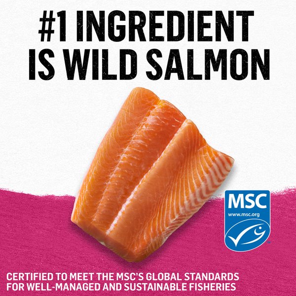 Show full view: Purina Beyond Pate Grain-Free Wild-Caught Salmon Recipe Wet Cat Food, 85-g can, case of 12 slide 8 of 18