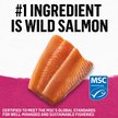 Show in main carousel: Purina Beyond Pate Grain-Free Wild-Caught Salmon Recipe Wet Cat Food, 85-g can, case of 12 slide 8 of 18