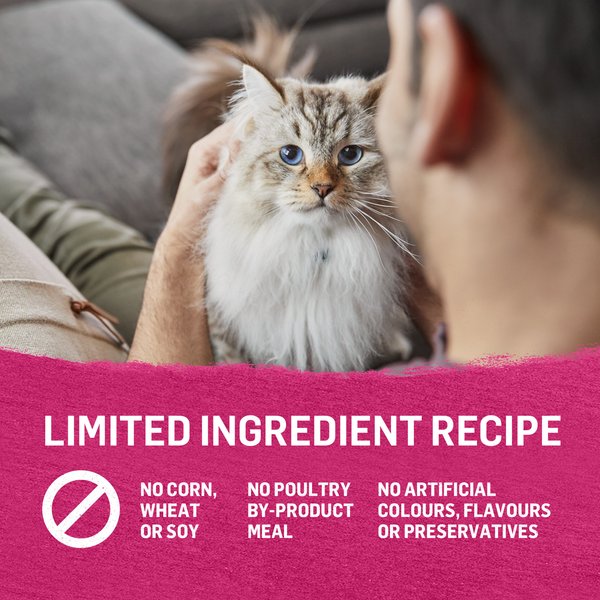 Show full view: Purina Beyond Pate Grain-Free Wild-Caught Salmon Recipe Wet Cat Food, 85-g can, case of 12 slide 10 of 18
