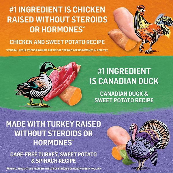 Show full view: Purina Beyond Poultry Variety Pack Chicken & Sweet Potato, Cage-Free Turkey, Sweet Potato & Spinach, & Canadian Duck & Sweet Potato Wet Cat Food, 85-g can, case of 12 slide 8 of 15