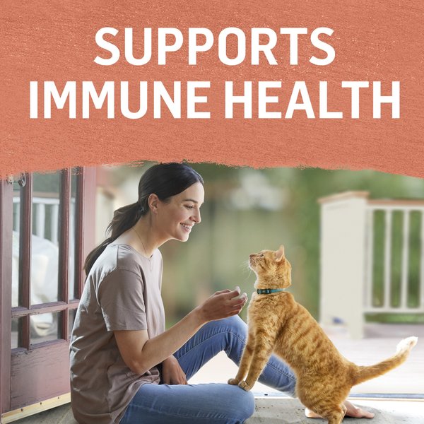 Show full view: Purina Beyond Variety Pack Grain-Free Turkey, Salmon, Tuna, Cod Wet Cat Food, 85-g can, case of 12 slide 4 of 9