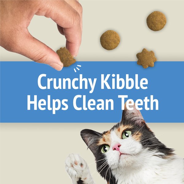 Show full view: Friskies Party Mix Naturals Gourmet Crunch with Real Chicken Cat Treats, 170-g pouch slide 12 of 18