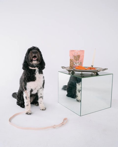 Show full view: Dexypaws Salmon & Carrot Crunchy Dog Treats, 12-oz bag slide 4 of 4