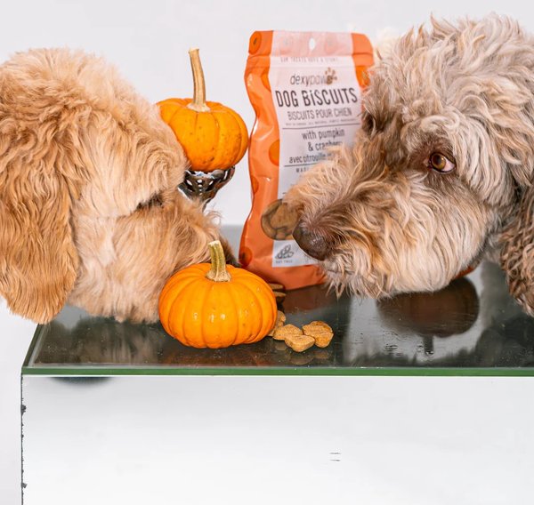 Show full view: Dexypaws Pumpkin & Cranberries Crunchy Dog Treats, 12-oz bag slide 3 of 6
