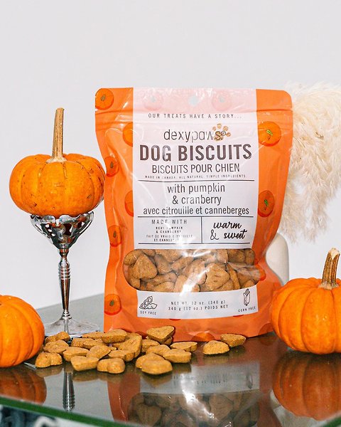 Show full view: Dexypaws Pumpkin & Cranberries Crunchy Dog Treats, 12-oz bag slide 5 of 6
