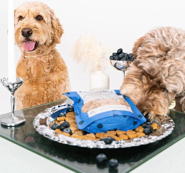 Show full view: Dexypaws Peanut Butter & Blueberries Crunchy Dog Treats, 12-oz bag slide 6 of 6