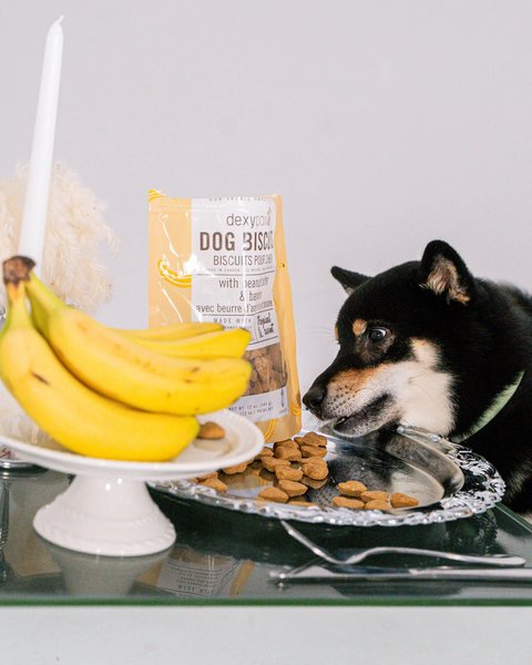 Show full view: Dexypaws Banana Oat & Peanut Butter Crunchy Dog Treats, 12-oz bag slide 5 of 6