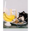 Show in main carousel: Dexypaws Banana Oat & Peanut Butter Crunchy Dog Treats, 12-oz bag slide 5 of 6