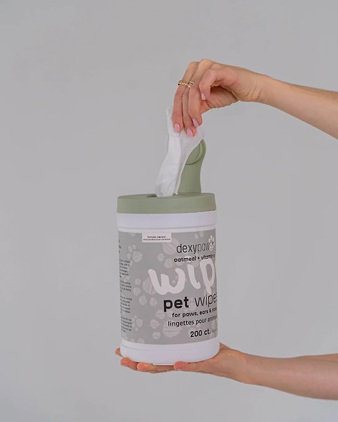 Show full view: Dexypaws Oatmeal & Vitamin E Dog Cleansing Dog & Cat Wipes, 200 count slide 3 of 4