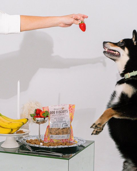 Show full view: Dexypaws Strawberry, Banana & Coconut Crunchy Dog Treats, 12-oz bag slide 3 of 6