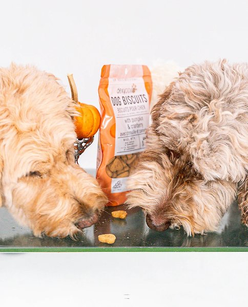 Show full view: Dexypaws Pumpkin & Cranberries Crunchy Dog Treats, 12-oz bag slide 6 of 6