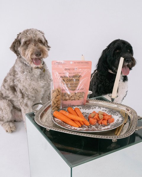 Show full view: Dexypaws Salmon & Carrot Crunchy Dog Treats, 12-oz bag slide 3 of 4