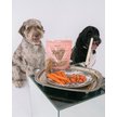 Show in main carousel: Dexypaws Salmon & Carrot Crunchy Dog Treats, 12-oz bag slide 3 of 4