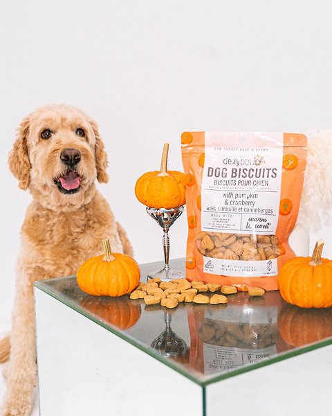 Show full view: Dexypaws Pumpkin & Cranberries Crunchy Dog Treats, 12-oz bag slide 4 of 6