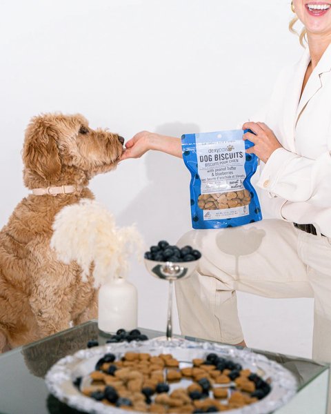 Show full view: Dexypaws Peanut Butter & Blueberries Crunchy Dog Treats, 12-oz bag slide 5 of 6