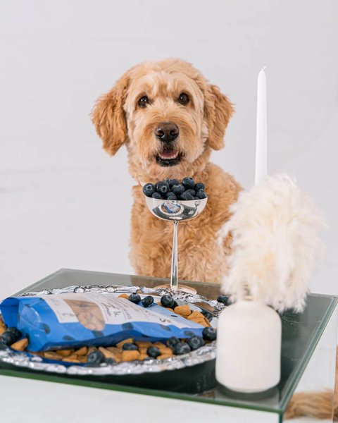 Show full view: Dexypaws Peanut Butter & Blueberries Crunchy Dog Treats, 12-oz bag slide 3 of 6