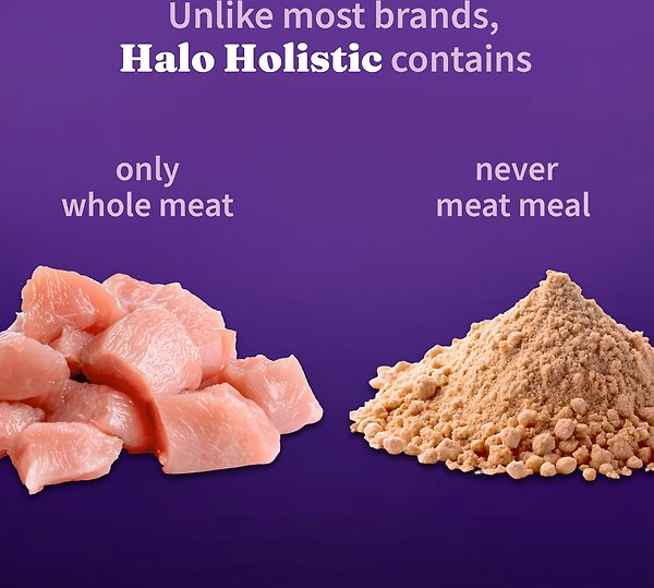 Show full view: Halo Holistic Complete Digestive Health Grain-Free Chicken & Sweet Potato Dog Food Recipe Adult Dry Dog Food, 4.54-kg bag slide 4 of 11