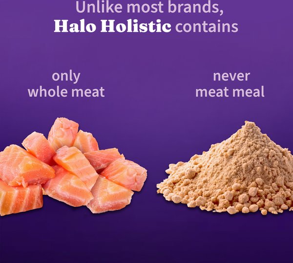 Show full view: Halo Holistic Complete Digestive Health Wild-Caught Salmon & Whitefish Recipe Small Breed Dry Dog Food, 4.54-kg bag slide 3 of 10