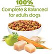 Show in main carousel: Purina Beneful Healthy Weight with Real Chicken Dry Dog Food, 7-kg bag slide 11 of 13