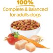 Show in main carousel: Purina Beneful Originals with Real Chicken Dry Dog Food, 1.8-kg bag slide 14 of 16