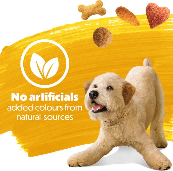 Show full view: Purina Beneful Originals with Real Chicken Dry Dog Food, 1.8-kg bag slide 10 of 16