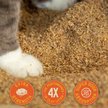 Show in main carousel: Catalyst Pet Multi-Cat Formula Cat Litter, 9.07-kg bag slide 3 of 5
