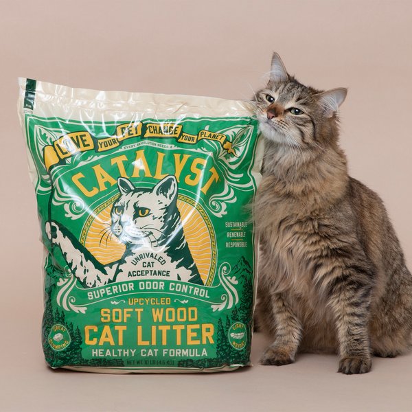 Show full view: Catalyst Pet Healthy Formula Cat Litter, 13.6-kg bag slide 4 of 5