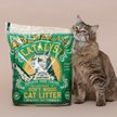 Show in main carousel: Catalyst Pet Healthy Formula Cat Litter, 13.6-kg bag slide 4 of 5