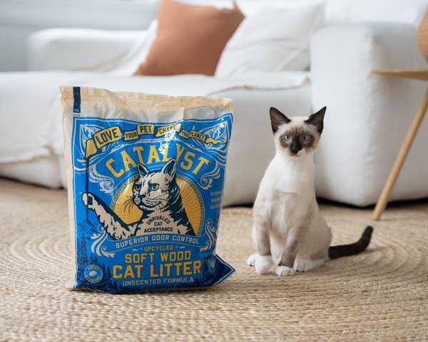 Show full view: Catalyst Pet Unscented Formula Cat Litter, 9.07-kg bag slide 4 of 5