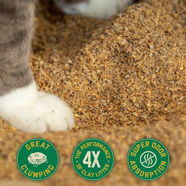 Show full view: Catalyst Pet Healthy Formula Cat Litter, 13.6-kg bag slide 3 of 5