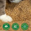 Show in main carousel: Catalyst Pet Healthy Formula Cat Litter, 13.6-kg bag slide 3 of 5