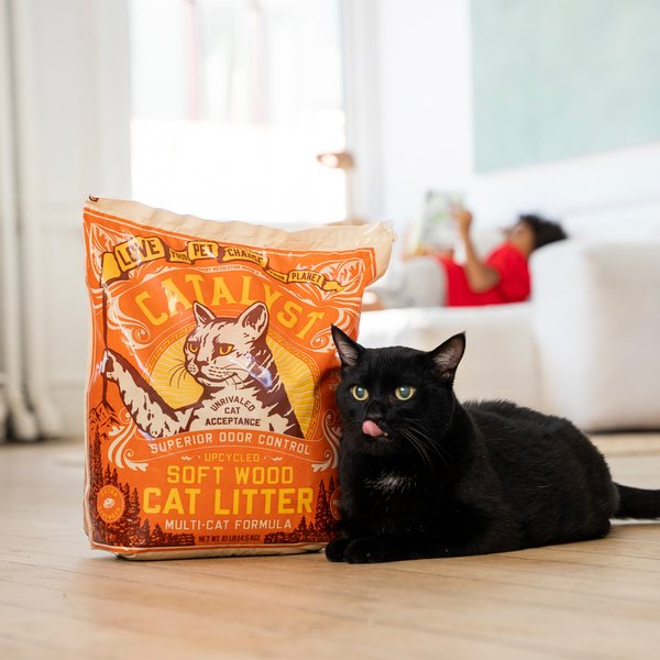 Show full view: Catalyst Pet Multi-Cat Formula Cat Litter, 9.07-kg bag slide 4 of 5