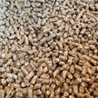 Show in main carousel: Catalyst Pet Pine Pellet Unscented Non-Clumping Wood Cat Litter, 9.07-kg bag slide 3 of 4