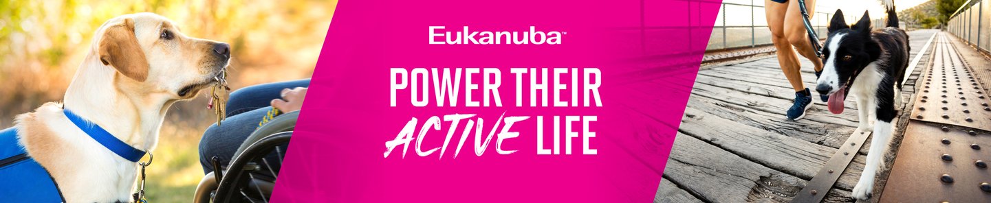 Eukanuba Power Their Active Life