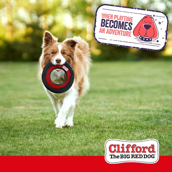 Show full view: Clifford The Big Red Durable Flying Disc Dog Toy slide 7 of 8