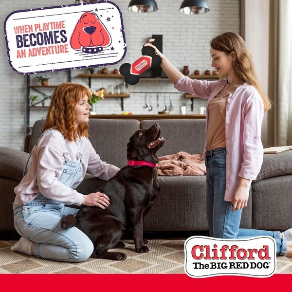 Show full view: Clifford The Big Red Dog Toughie Bone Dog Toy slide 4 of 10