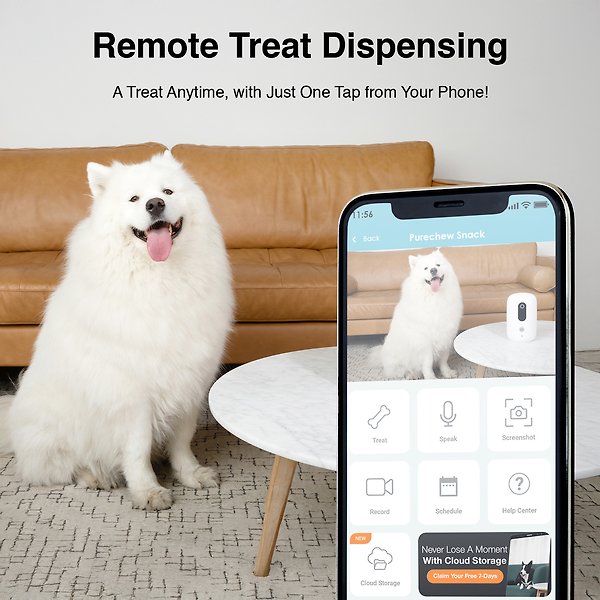 Show full view: INSTACHEW Purechew Snack Cat & Dog Treat Dispenser, HD Camera, White slide 3 of 7