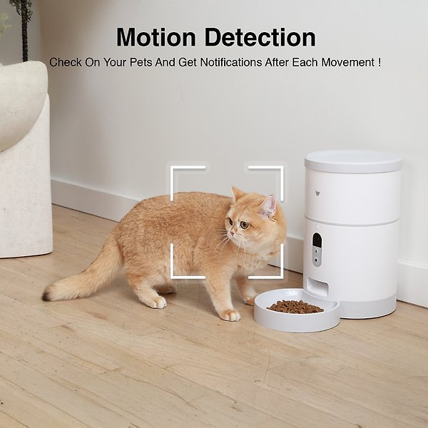 Show full view: INSTACHEW Purechew Automatic with HD Camera Cat & Dog Smart Feeder, White slide 5 of 10