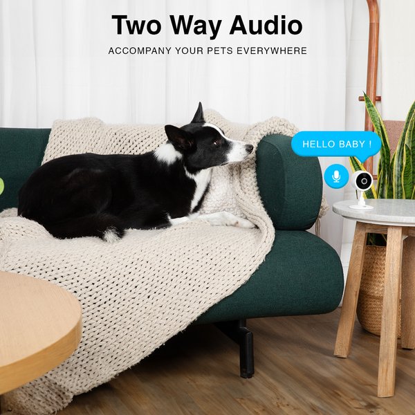 Show full view: INSTACHEW Purrsight Mini HD Pet Camera, White slide 5 of 6