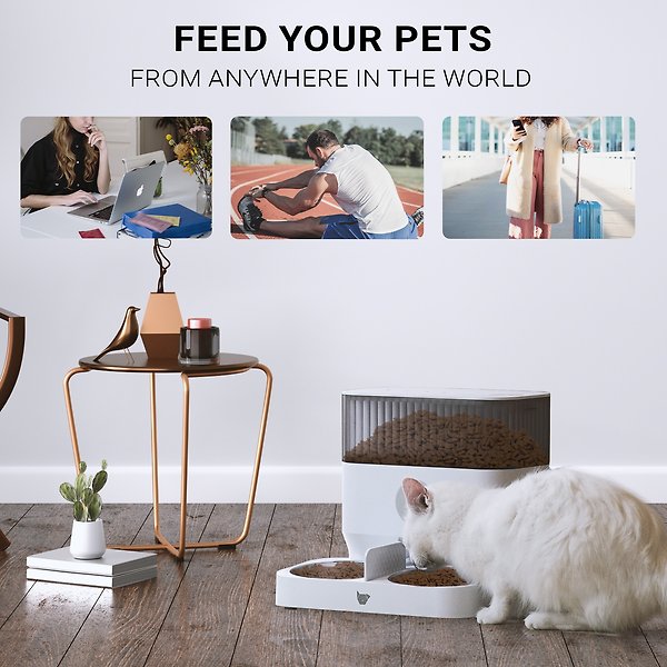 Show full view: INSTACHEW Purechew Double Automatic 1-10 Feeding Dog & Cat Feeder, White slide 4 of 7