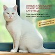 Show in main carousel: Inaba Churu for Senior 10+ Chicken Recipe Lickable Cat Treats, 14-g tube, 24 count slide 5 of 7