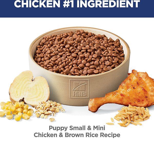 Show full view: Hill's Science Diet Puppy Small & Mini Chicken & Brown Rice Recipe Dry Dog Food, 5.67-kg bag slide 4 of 10