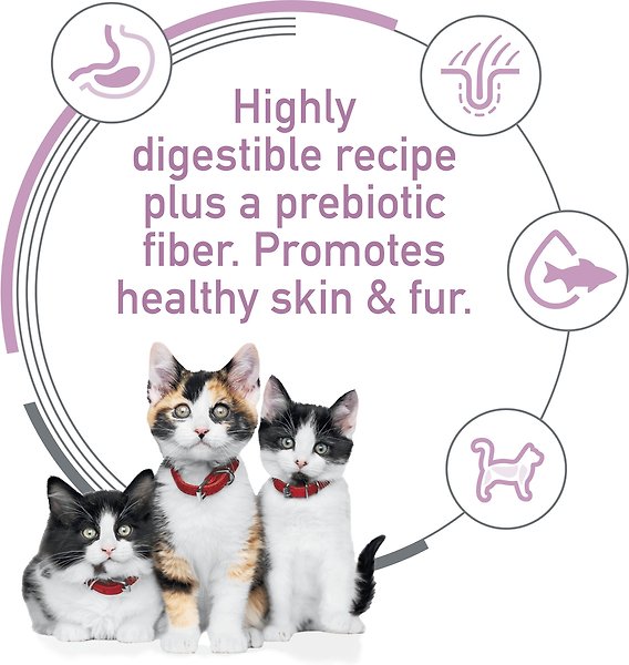 Show full view: Hill's Science Diet Kitten Sensitive Stomach & Skin Salmon & Brown Rice Recipe Cat Food, 1.58-kg bag slide 3 of 10