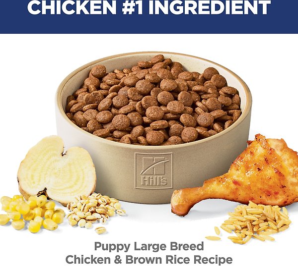Show full view: Hill's Science Diet Puppy Large Breed Chicken & Brown Rice Recipe Dry Dog Food, 12.5-kg bag slide 4 of 12