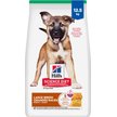 Show in main carousel: Hill's Science Diet Puppy Large Breed Chicken & Brown Rice Recipe Dry Dog Food, 12.5-kg bag slide 1 of 12