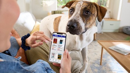 No Commitment. No fees.