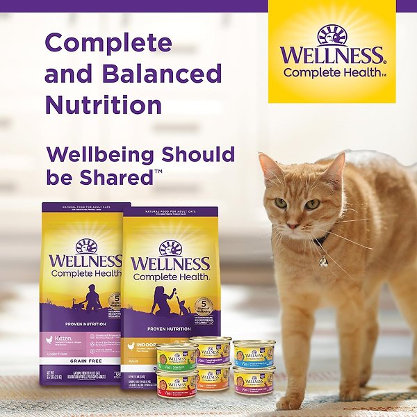 Show full view: Wellness Complete Health Minced Chicken Dinner Grain-Free Canned Cat Food, 85-g can, case of 24 slide 8 of 9