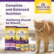 Show in main carousel: Wellness Complete Health Minced Chicken Dinner Grain-Free Canned Cat Food, 85-g can, case of 24 slide 8 of 9